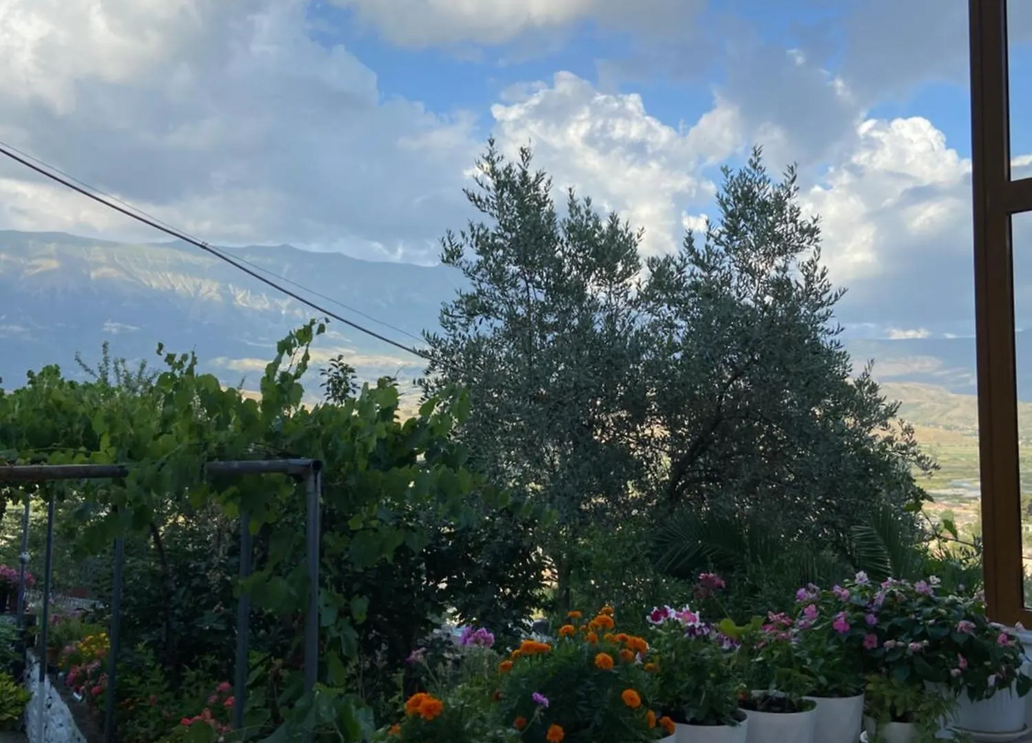 Guest house Stonetale Garden Guesthouse Gjirokaster